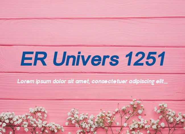 ER Univers 1251 example